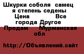 Шкурки соболя (самец) 1-я степень седены › Цена ­ 12 000 - Все города Другое » Продам   . Мурманская обл.